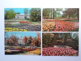 Tulips Kingwood Center Mansfield OH Real Photo Postcards Unposted CurteichColor - £11.44 GBP