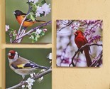 Bird Framed Prints Set of 3 Stretched Canvas Cardinals Oriole Outdoor 20... - $69.29