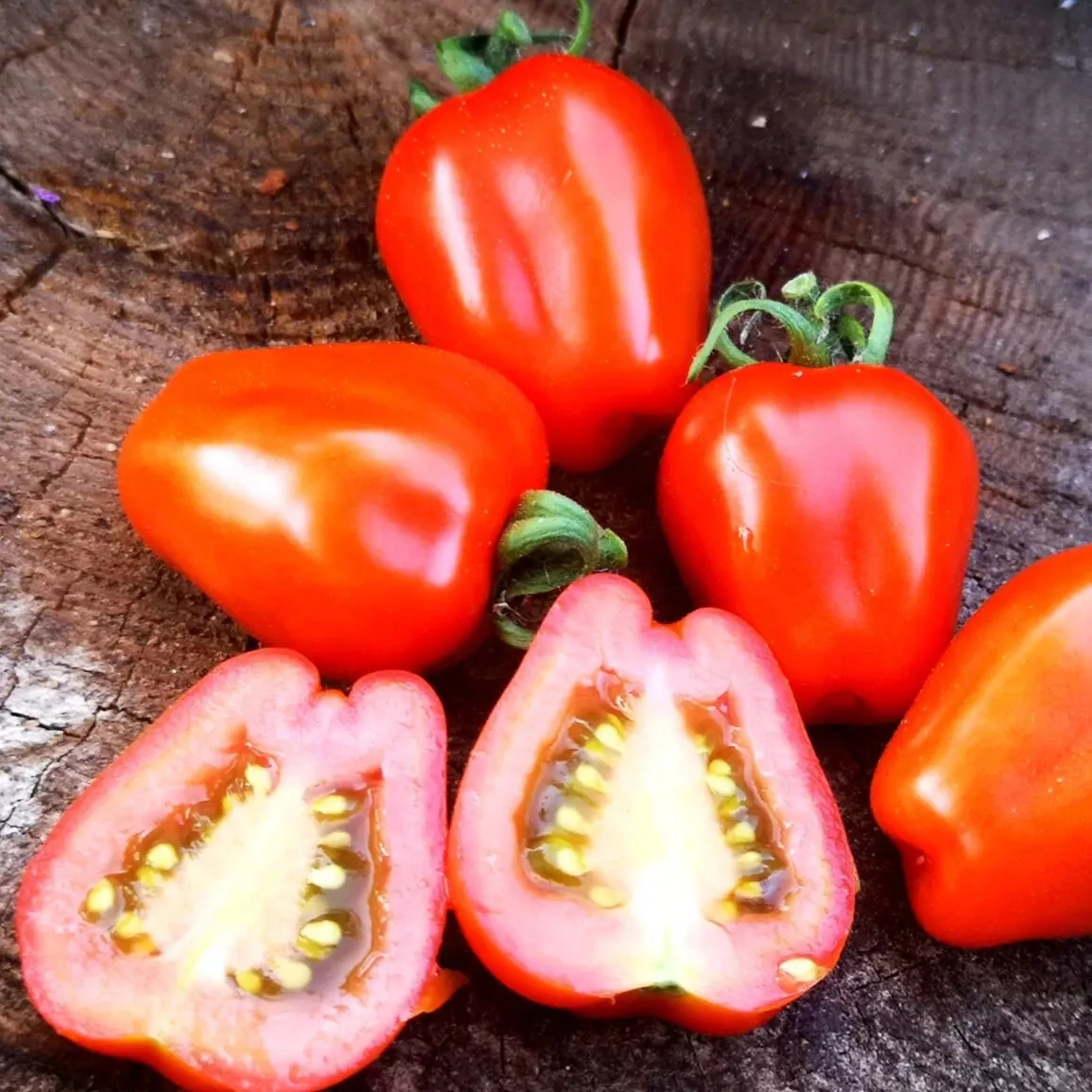 50 Seeds Sweet Hearts Tomato Vegetable Garden - £7.83 GBP