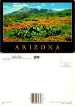 Arizona Southern Desert Poppies Flowers Blanket Prickly Pear Cacti VTG P... - $9.40