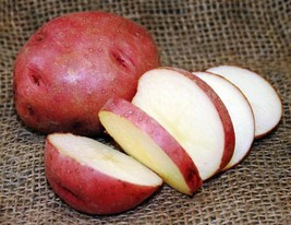 Potatonorlandred1new  99687.1750 thumb200