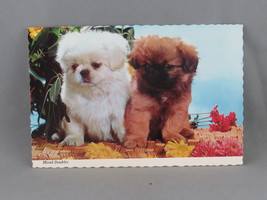 Vintage Postcard - 2 Puppies - Continental Card - £11.74 GBP