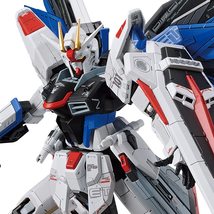 Bandai spirits 1/100 Full Mechanics ZGMF-X10A Freedom Gundam Ver. GCP - £61.95 GBP