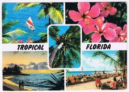 Postcard Tropical Florida Beaches Miles Of Coastline &amp; Waterways - £1.58 GBP