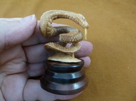tb-snake-10 baby brown coiled standing Snake Tagua NUT palm figurine Bal... - $51.41