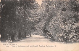 Springfield Ohio View Hanging Rock~Ferncliff Cemetery~Rotograph Postcard 1900s - £8.71 GBP