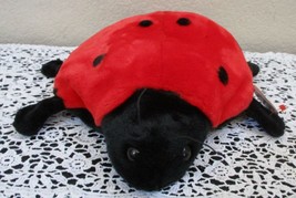 Ty Beanie Buddy Lucky The Ladybug 10&quot; NEW - £11.76 GBP