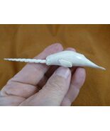 Whale-w130 little white Narwhal Whale of shed ANTLER figurine Bali sea u... - $1,962.63 MXN