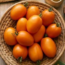 50 Seeds Vivacious Tomato Vegetable Garden - $9.80