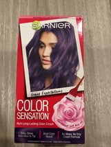 Garnier Color Sensation Grape Excpectations Hair Color #5.21 Intense Purple - £22.48 GBP