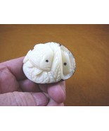 (TNE-FIS-AQ-201) Tropical Aquarium FISH TAGUA NUT Figurine vegetable - $49.75 CAD