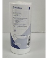 Pentair  WDGD-5005-10 Big Blue  Sediment 50-Micron Water Filter - new - £25.49 GBP