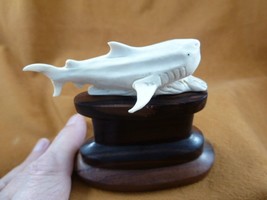 Shark-15 small Great White Shark display of shed antler figurine Bali carving - £40.48 GBP