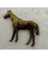 Brass Small Metal Horse craft emblems accents decorative pieces NEW - £6.72 GBP