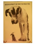 Great Dane Et Chihuahua Affiche Jamais Être Afraid To Say What You Reall... - $1,676.91 MXN