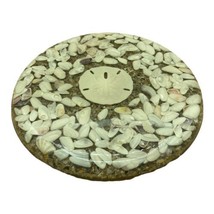 Clear-Vue Products Sand Dollar Sea Shell Beach Lucite Acrylic Resin Trivet 7&quot; - £13.49 GBP