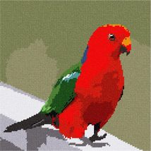 Pepita Needlepoint Canvas: Australian King Parrot, 10&quot; x 10&quot; - £62.36 GBP+