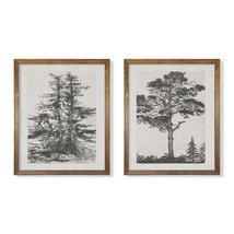 Grey Neutral Forest Tree Sketch Drawing Etching - Modern Farmhouse Botanical - £33.56 GBP