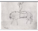 Circus Rider By Pablo Picasso Baltimore Museum of Art UNP DB Postcard Q24 - $4.90