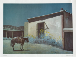 La Noche Encantada Public Service Company Of New Mexico Vintage Poster - £36.99 GBP