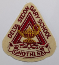 DELTA SECONDARY SCHOOL EDUCATION SEW ON PATCH ALUMNI VINTAGE RETRO GNOTH... - €13,93 EUR
