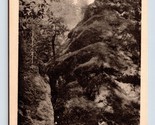 Cave Creek Josephine County Oregon OR UNP Verner Tobler DB Postcard G16 - $17.03