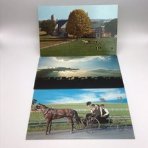 Vintage Pennsylvania Dutch Postcards Lot Of 3 Heart Of Amishland  - £6.35 GBP