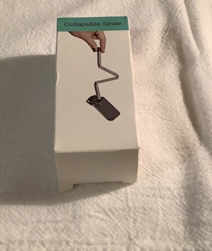 Stainless Steel Collapsible Straw with Black Case - $5.89