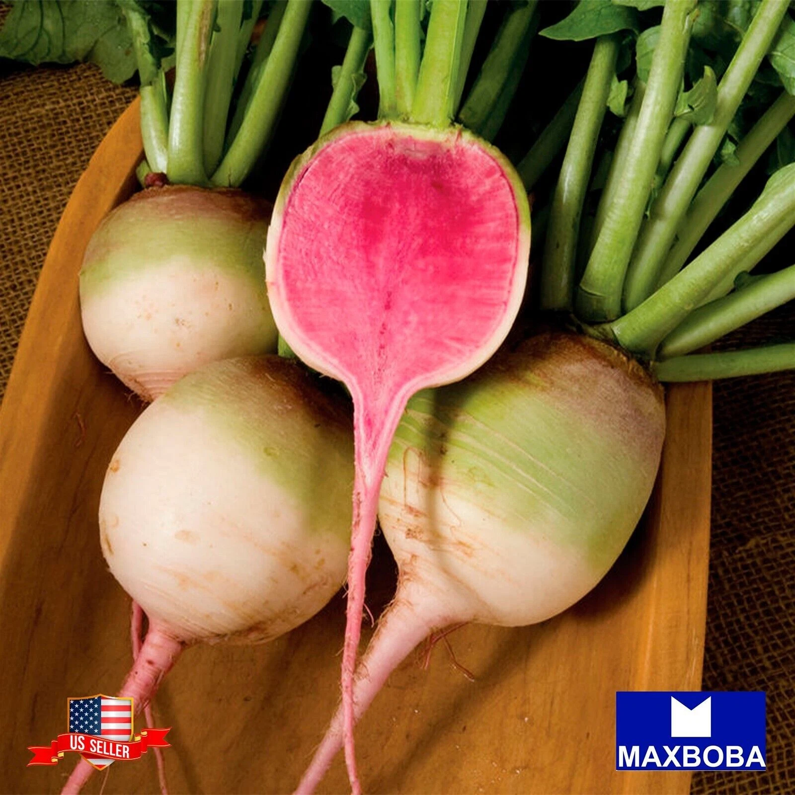 Radish Seeds - Watermelon Raphanus sativus Non-GMO  Heirloom  Vegetable ... - $4.63