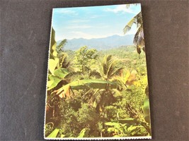 The Blue Mountains of Jamaica-Unposted Postcard. - £4.67 GBP