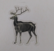 Buck Deer X-Ray Transparent Sticker 2.25&quot; x 1.58&quot; (Q) - $1.64
