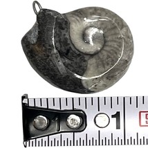 Fossil Ammonite 1&quot;, 8 gram, looped for wearing on necklace - $4.99