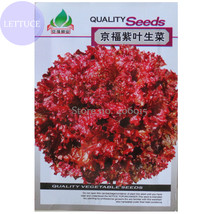 Peking Fu Purple Red Lettuce 1000 Seeds Garden Fresh - $8.21