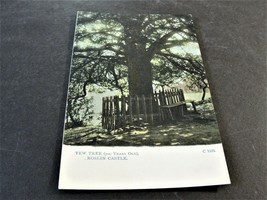 Yew Tree (700 Tears Old), Roslin Castle, UK -1900s Unposted Postcard. - £8.93 GBP