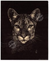 Cougar panther lioness CAT portrait black Fine ART Print 1977 drawing illustrati - £65.24 GBP