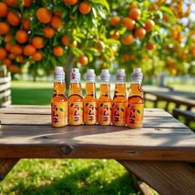 Hatakosen Japanese Orange Ramune Marble Soda 6 bottle Pack 6.6 fl oz (20... - $28.66