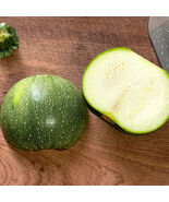 Shengfeng Dark Jade Zucchini Seeds Round Zucchini High Gloss Stable Quality - $325.83 MXN
