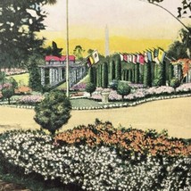 Florida Postcard Palatka Ravine Gardens Court Of States Flags Floral Vintage - £9.44 GBP