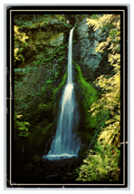 Merrymere Falls in Olympic National Park by Lake Crescent Postcard Unposted - £3.77 GBP