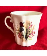 Vintage Royal Grafton Bone China Mug North American Birds Woodpecker - $169.16 MXN