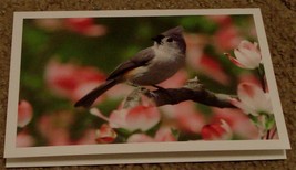 NEVER USED Beautiful Blank Greeting Card, GREAT CONDITION - £2.32 GBP