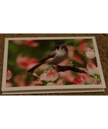 NEVER USED Beautiful Blank Greeting Card, GREAT CONDITION - $4.06 CAD
