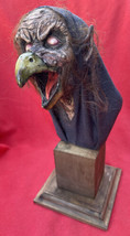 Mexico City Outside Art HOOS Enshrouded Vulture Witch Mysterious Creature - £157.32 GBP