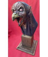 Mexico City Outside Art HOOS Enshrouded Vulture Witch Mysterious Creature - £157.38 GBP