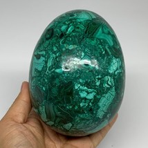 3.79 lbs, 5.2&quot;x4&quot;, Natural Solid Malachite Egg Polished Gemstone @Congo,... - $1,364.38