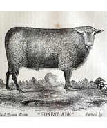 Honest Abe Oxford Down Ram 1863 Victorian Agriculture Animals Art DWZ4A - $950.15 MXN