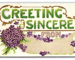 Large Letter Floral Greetings Sincere Violet Flowers Embossed DB Postcar... - $3.97