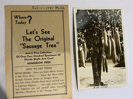 Vtg Travel Brochure &amp; RPPC - Coconut Grove Florida - The Sausage Tree 1947 - £12.58 GBP