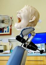 Periodontal Hygiene Practice Training Teaching Manikin Simulator Dental Model - £1,408.86 GBP