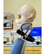 Periodontal Hygiene Practice Training Teaching Manikin Simulator Dental ... - £1,414.65 GBP